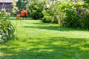 travaux jardin et paysage Saint-Germain-le-Vieux